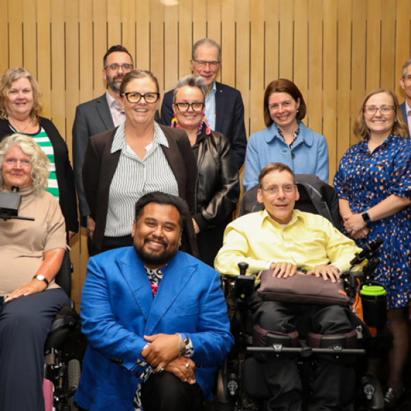 Image of Catherine McAlpine, Luke Mansfield, Professor Bruce Bonyhady OAM, Dr Frances Foster-Thorpe, Kayla Jordan, Professor Julian Trollor, Rosemary Kayess, Jodi Cassar PSM, Clare Gibellini, Giancarlo de Vera and Peter Tully at a Council workshop.