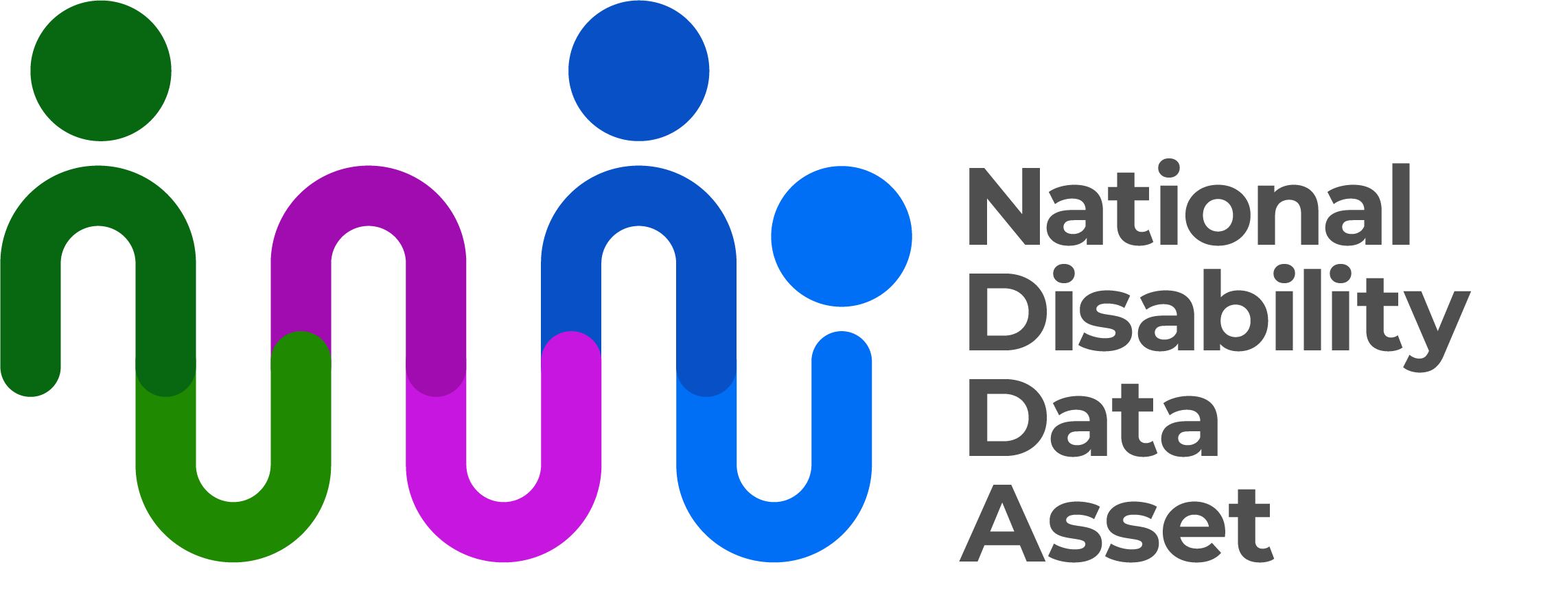 National Disability Data Asset Logo